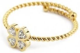 AN ORO TG S QUADF CRIS BIAN TMT2AA