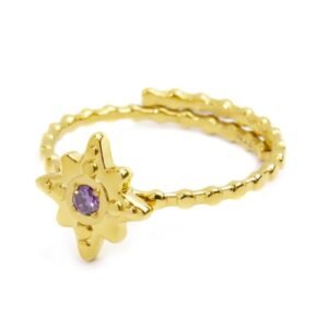 AN ORO ROSA DEI VENTI TMT28